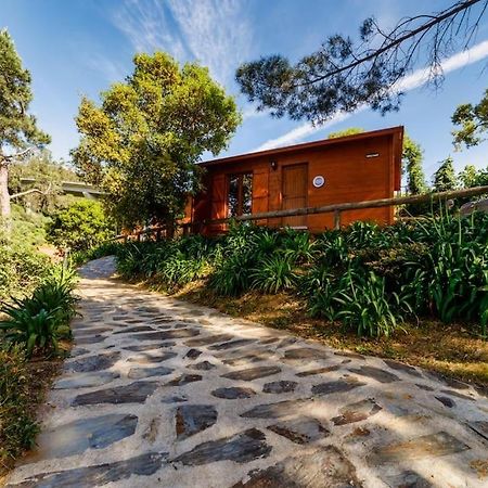Arrabia Bunga Payva Guest House Raiva Exterior photo