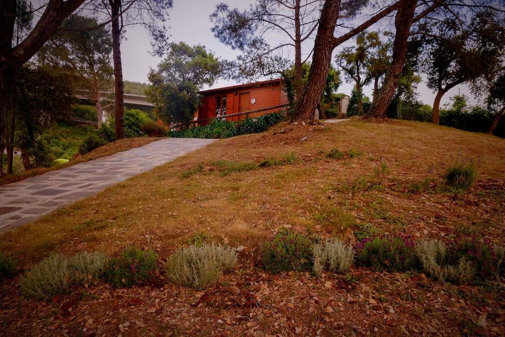 Arrabia Bunga Payva Guest House Raiva Exterior photo